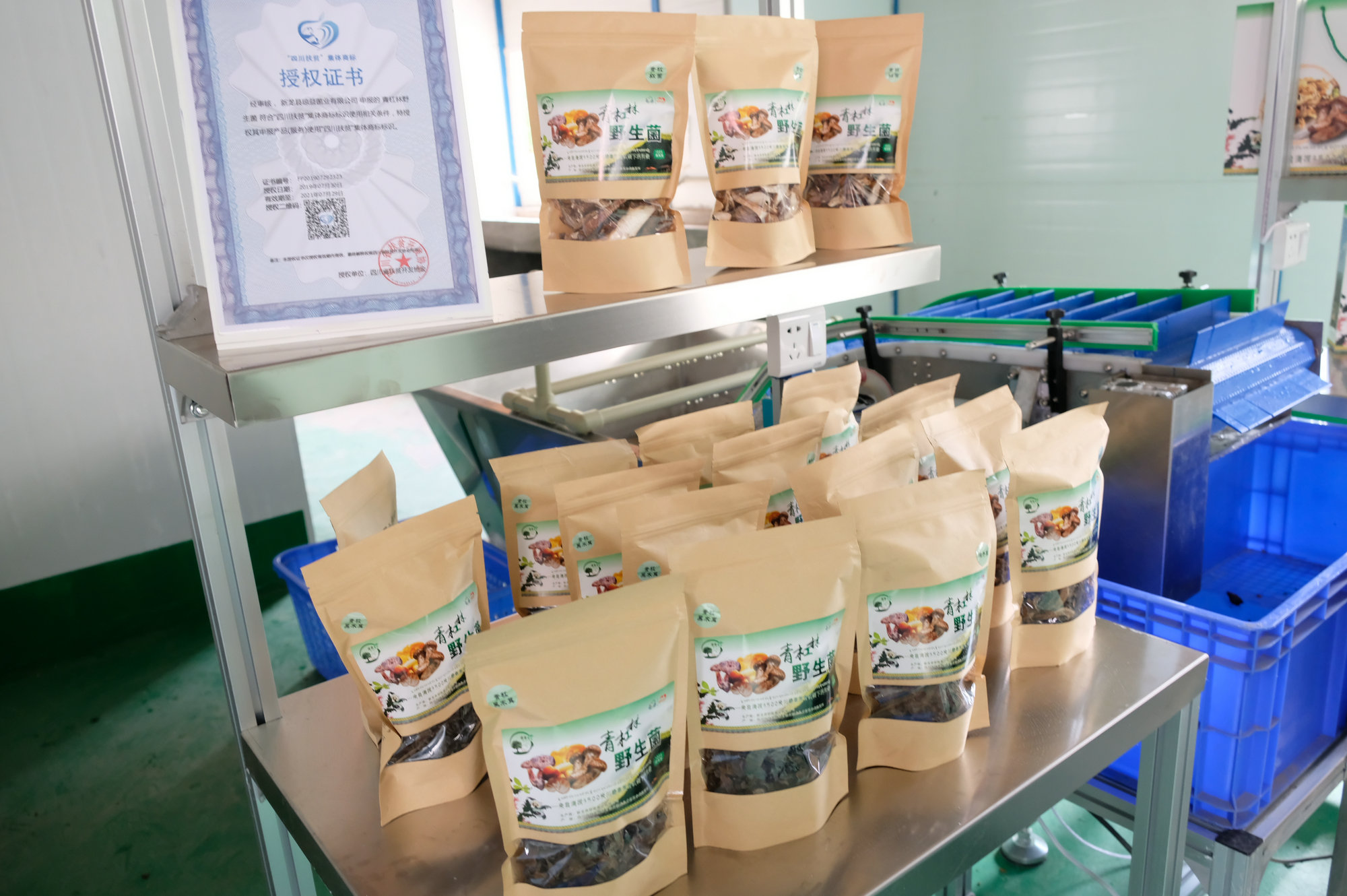 首页- 腾博会集团有限公司官方网站