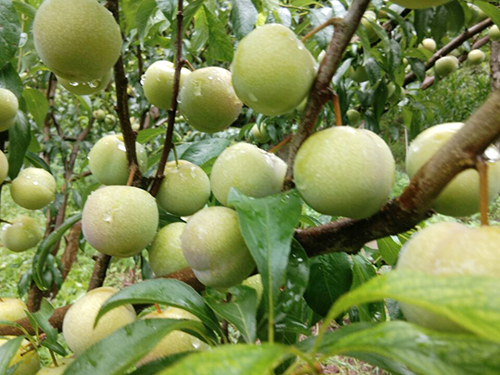 首页- 腾博会集团有限公司官方网站