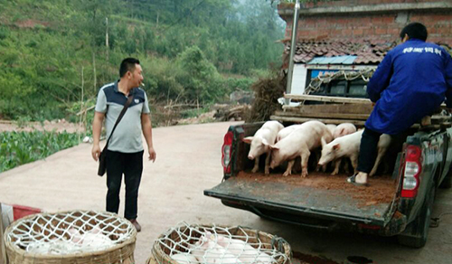 首页- 腾博会集团有限公司官方网站