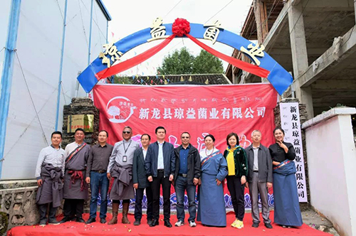 首页- 腾博会集团有限公司官方网站