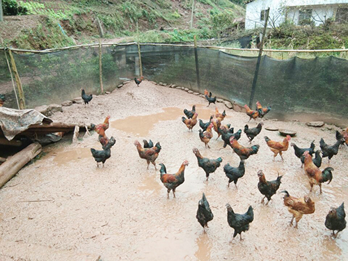 首页- 腾博会集团有限公司官方网站