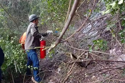 首页- 腾博会集团有限公司官方网站
