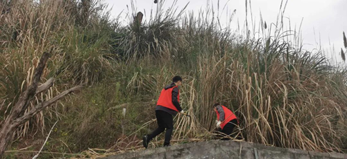 首页- 腾博会集团有限公司官方网站