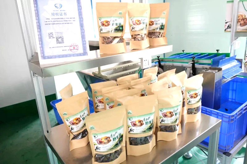 首页- 腾博会集团有限公司官方网站