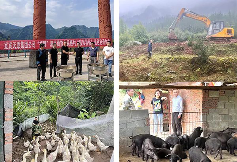 首页- 腾博会集团有限公司官方网站