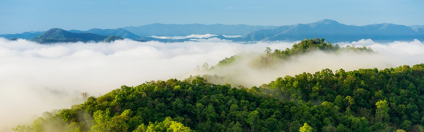 首页- 腾博会集团有限公司官方网站